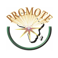 PROMOTE